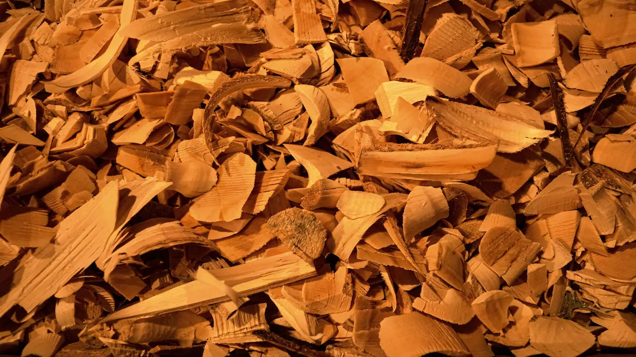 What does Sandalwood Smell Like?