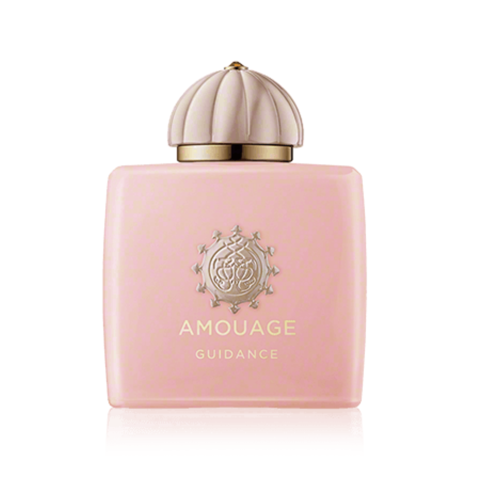 Guidance Amouage EDP