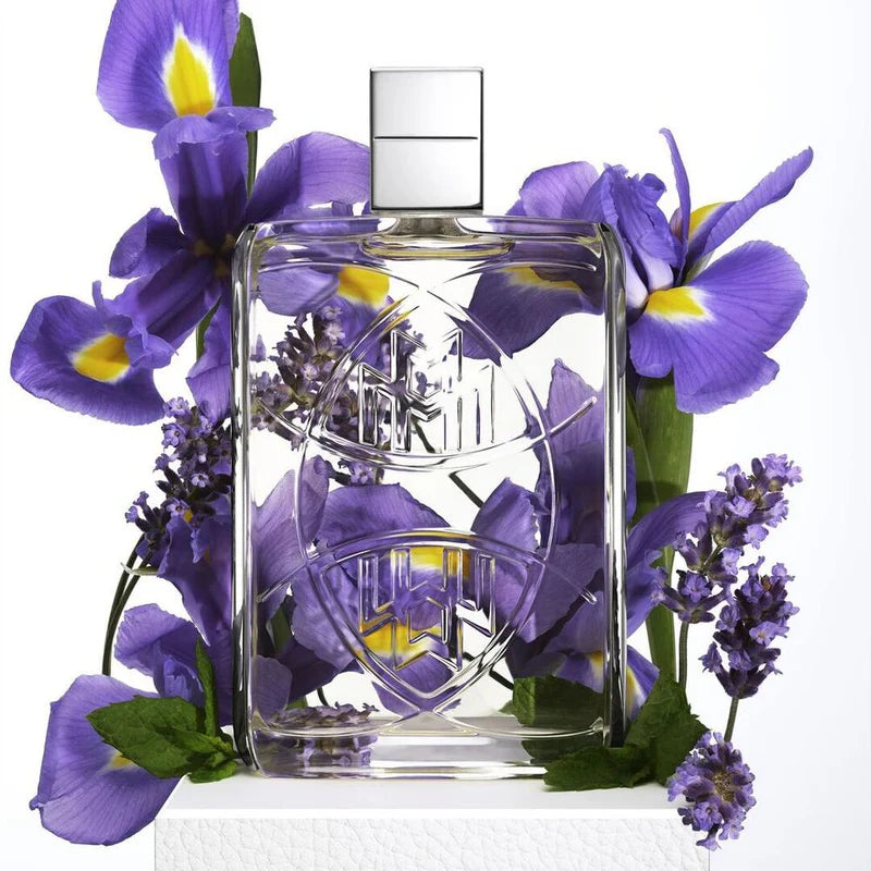 Unexpected Orris EDP Maybach
