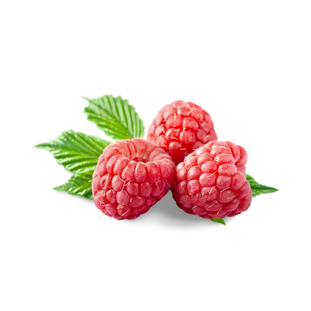 Raspberry – NICHECORNER
