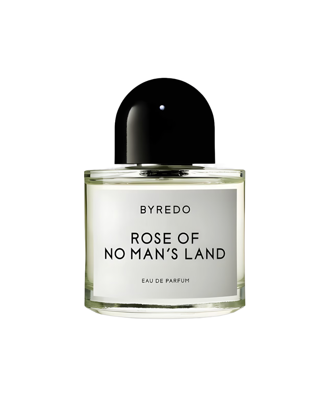 Rose Of No Man&