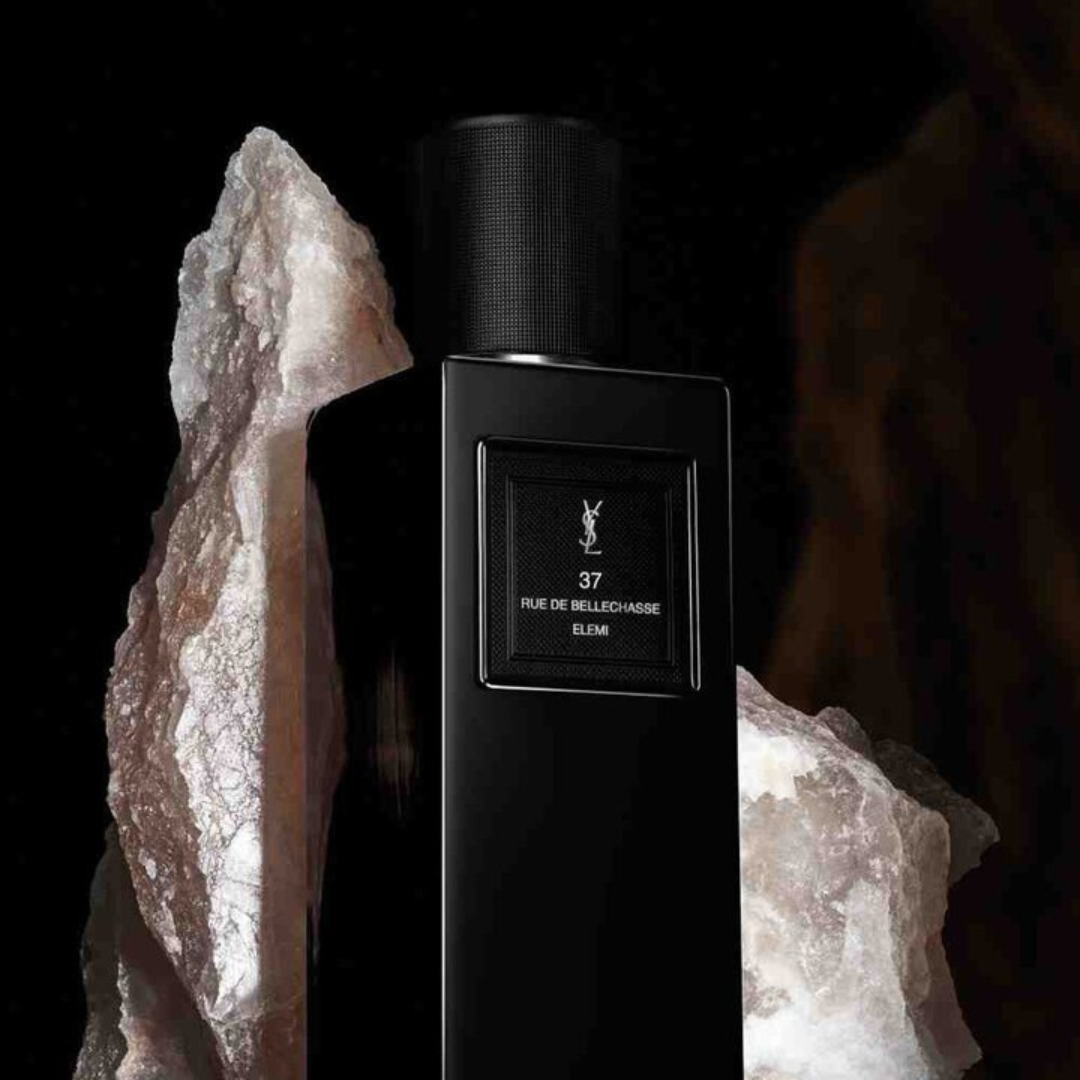 37 rue de Bellechasse Yves Saint Laurent