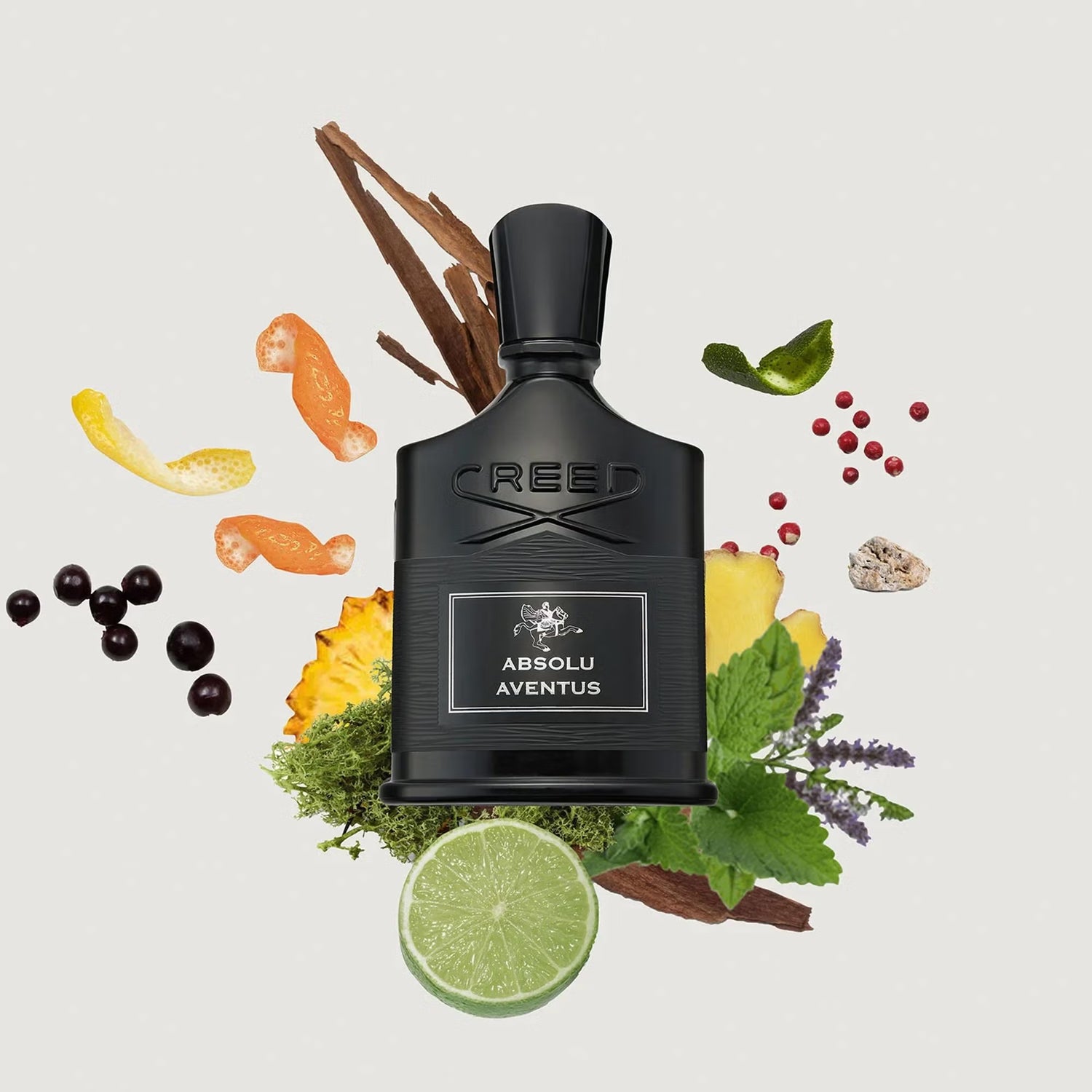 Absolu Aventus 2025 Creed