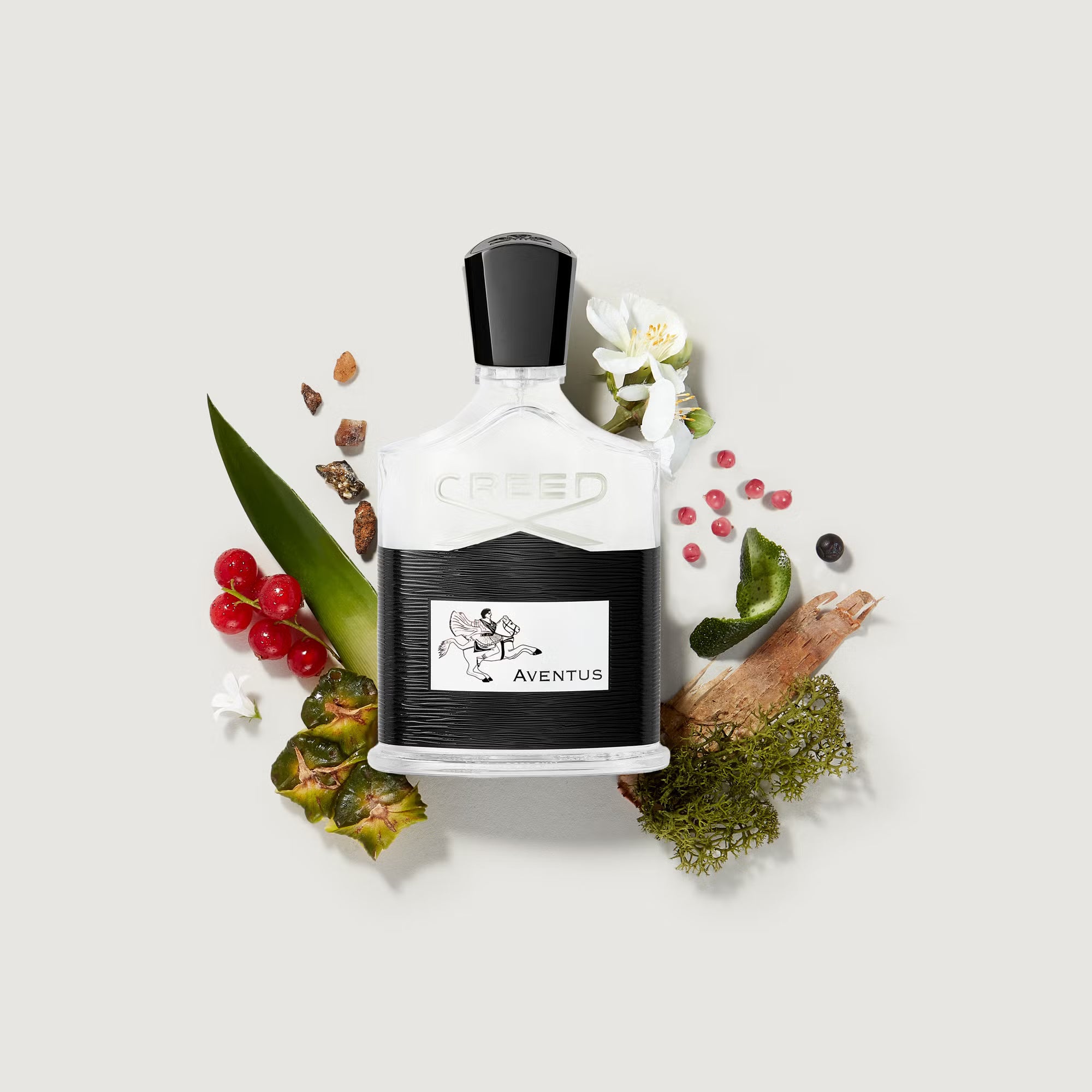 CREED AVENTUS